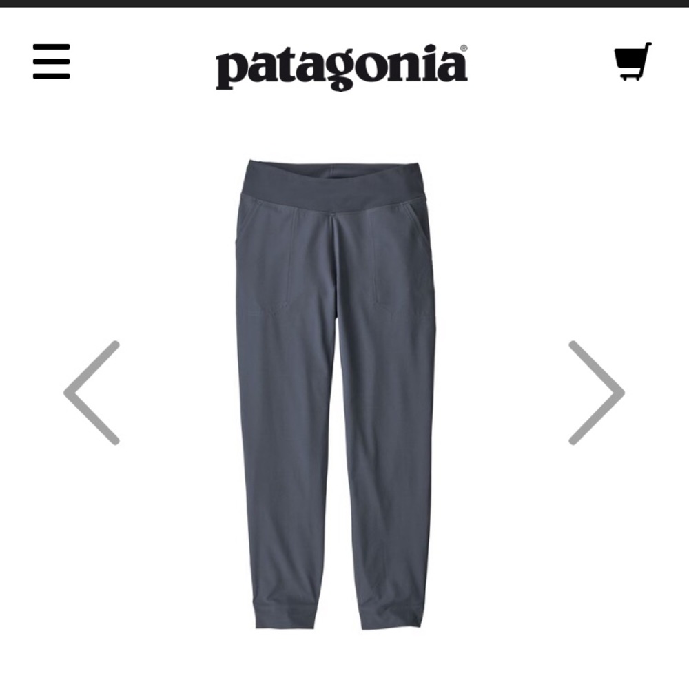 Patagonia Hiking Pants